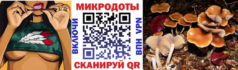 Галлюциногенные грибы ЛСД Плавск